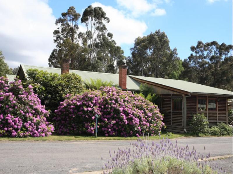 Halls Gap Log Cabins Ngoại thất bức ảnh