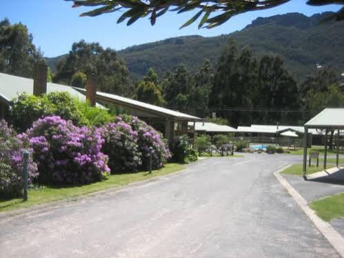 Halls Gap Log Cabins Ngoại thất bức ảnh